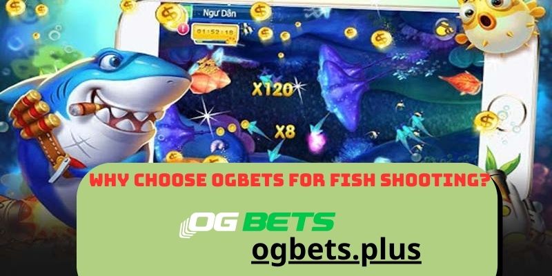 Why Choose OGBETS